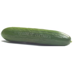 Fresh Produce Cucumbers Lebanese