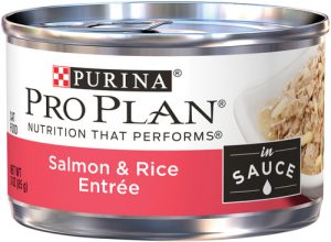 Pro Plan Savor Salmon and Rice Wet Cat Food Cans