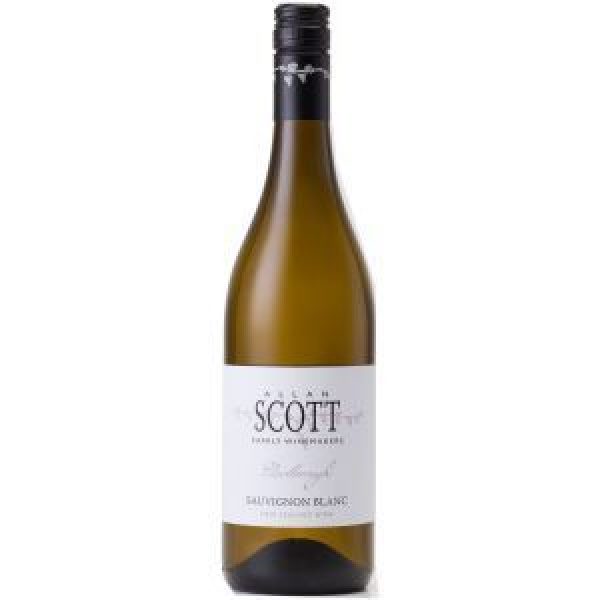 Allan Scott Sauvignon Blanc