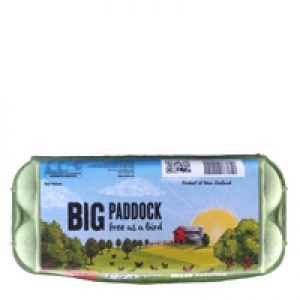 Big Paddock Eggs 10pk Free Range Mixed Grade