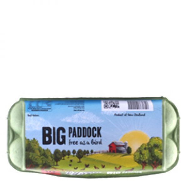 Big Paddock Eggs 10pk Free Range Mixed Grade