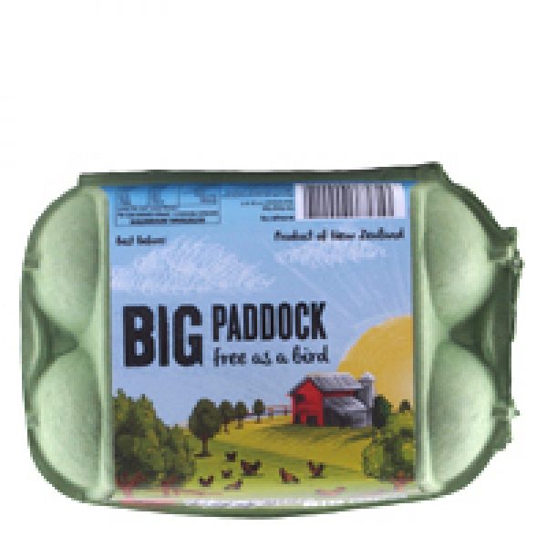 Big Paddock Eggs Half Dozen Free Range Mixed Grade