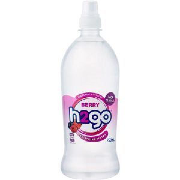 H2go Water Berry