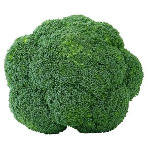 Fresh Produce Broccoli Head