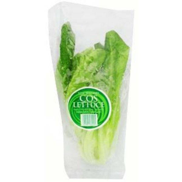 Fresh Produce Lettuce Cos
