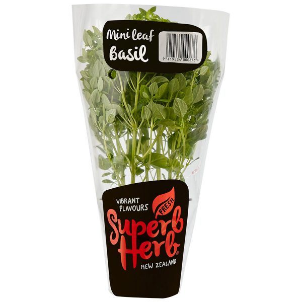 Superb Herb Basil Living Plant Mini