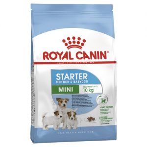 Royal Canin Mini Starter Mother & Babydog Dry Food