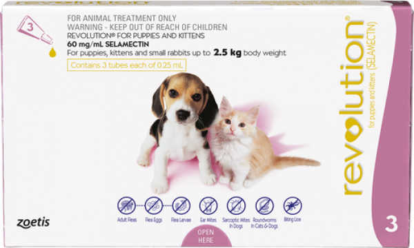 Revolution Flea Treatment for Dogs