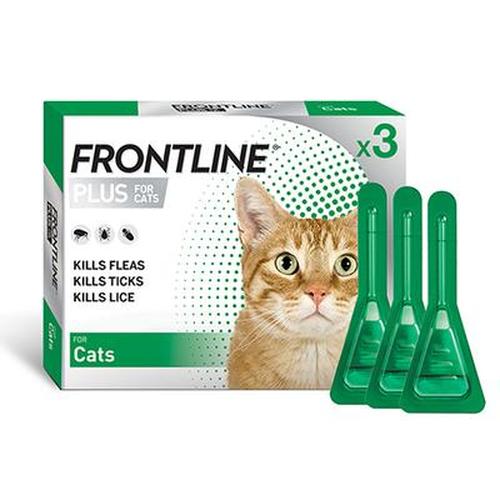 ebay frontline plus for cats