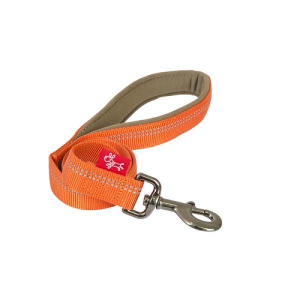 Yours Droolly Reflective Lead
