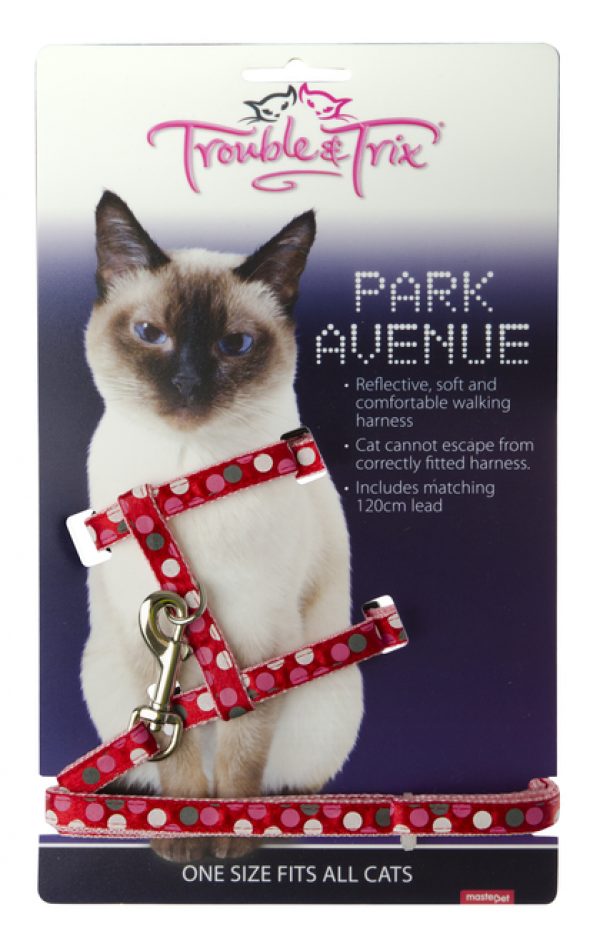 Trouble & Trix Harness and Lead Park Avenue