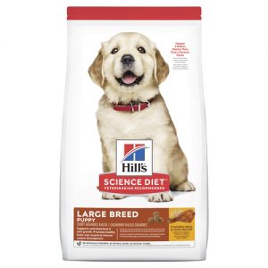 Hill’s Science Diet Puppy Large Breed Dry Food