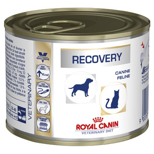 Royal Canin Vet Recovery Wet Dog and Cat Food Reviews Black Box