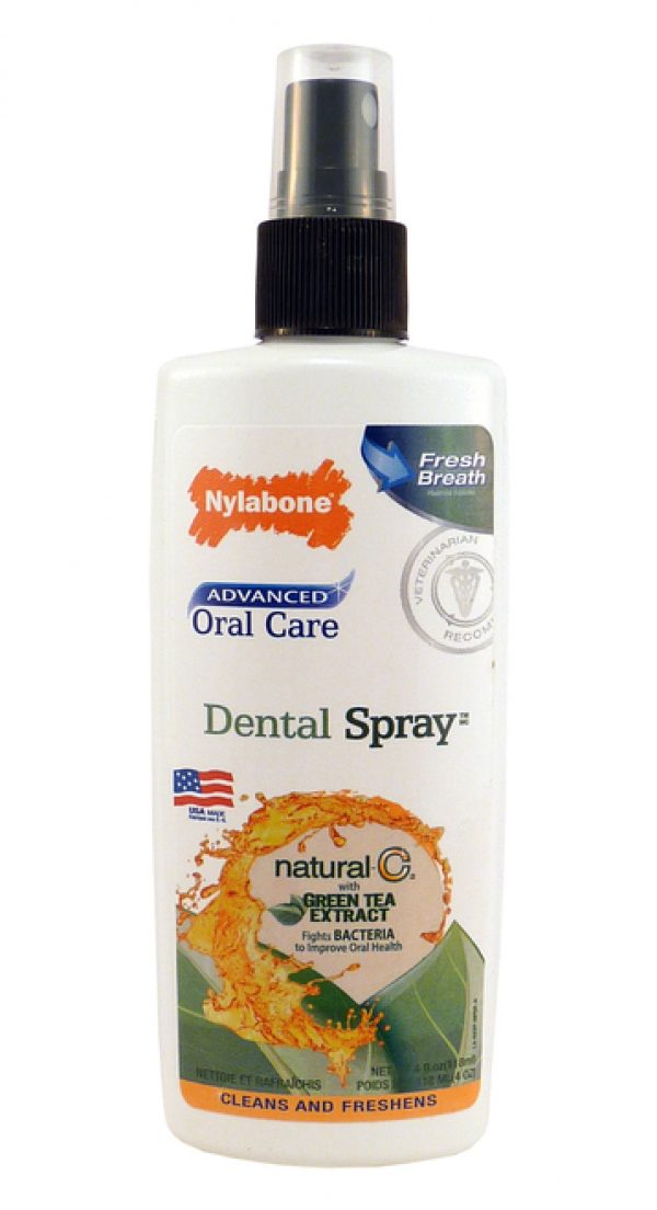 Nylabone Natural Oral Care Spray