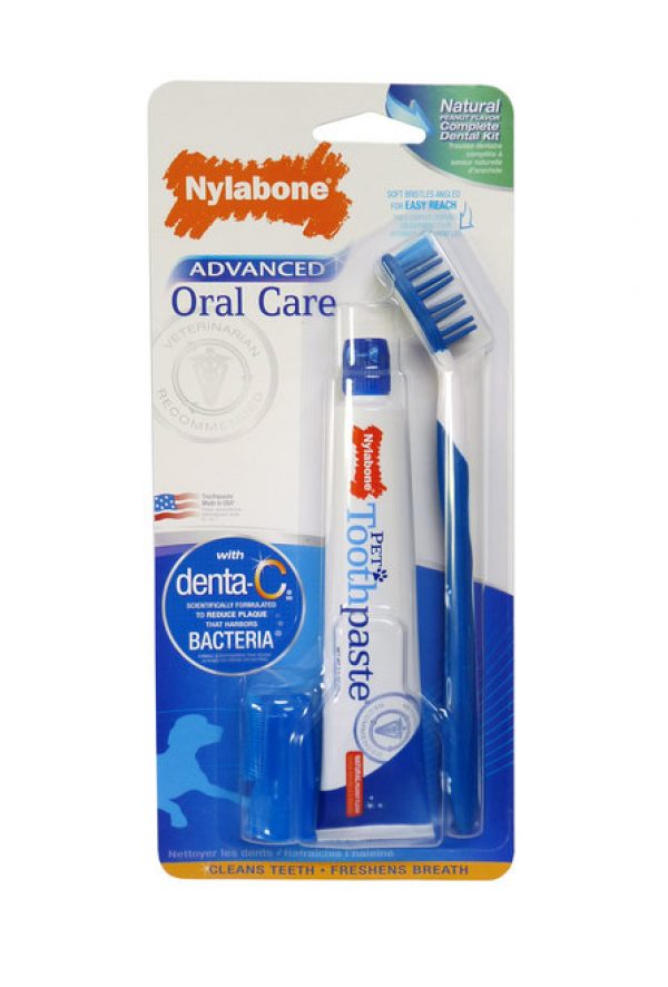 Nylabone Oral Dental Kit Reviews Black Box