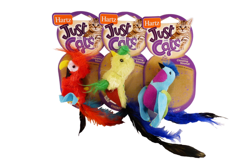 bird cat toy
