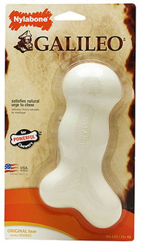 Nylabone DuraChew Galileo