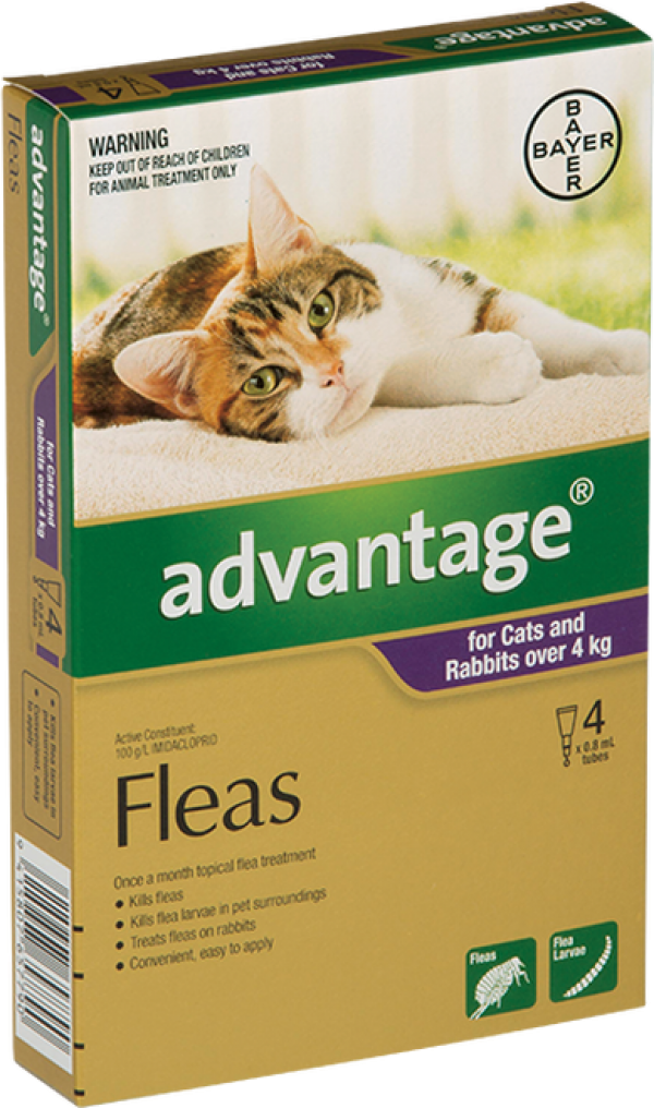Advantage Flea Treatment For Cats 410kg Reviews Black Box