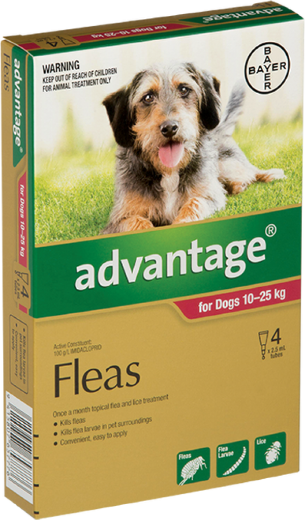 Flea treatment for dogs reviews 2025