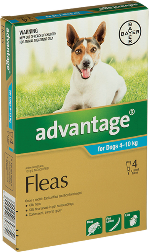 Advantage Flea Treatment For Dogs 4 10kg Reviews Black Box