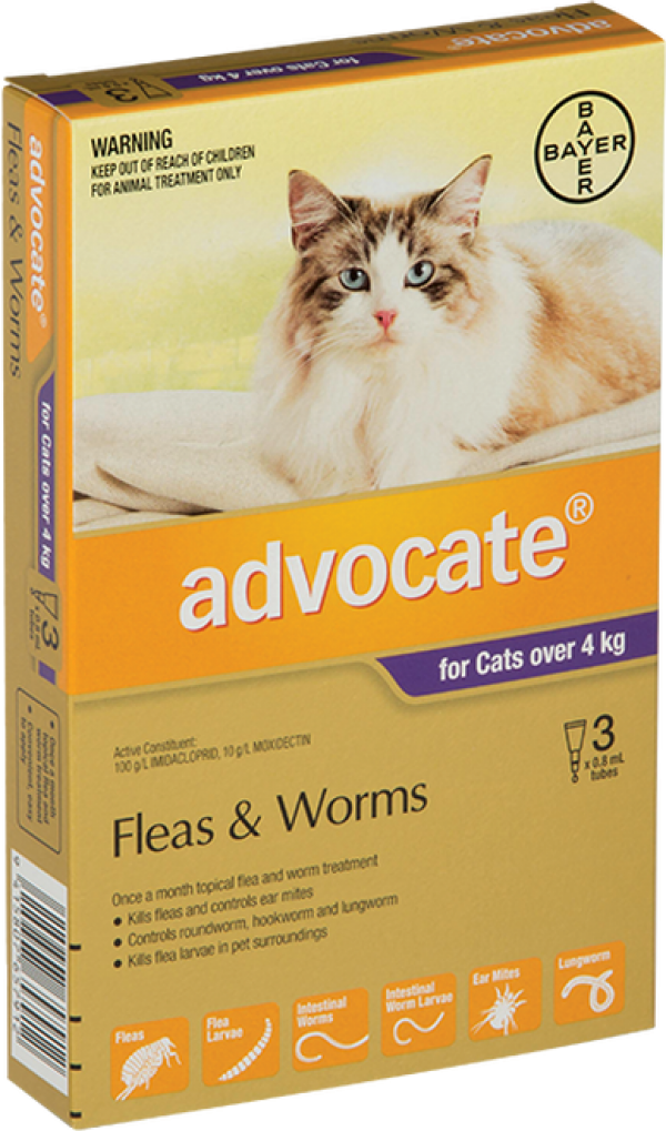 Advocate Advocate Cat 4kg+