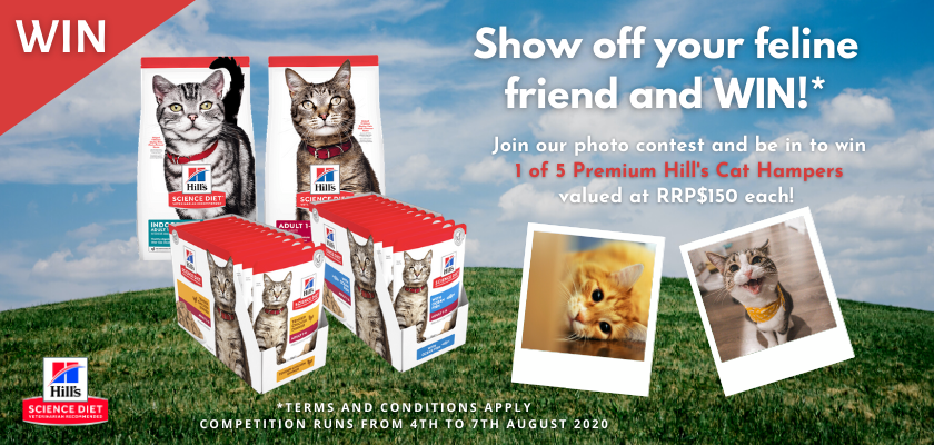 Hill's Pet Nutrition Photo Contest