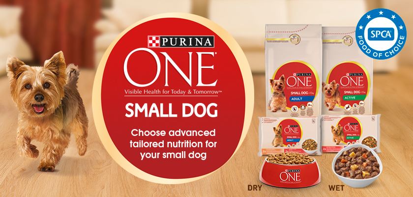 Purina One Small Dog Review to Win Contest Banner