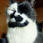 Profile picture of Charlene