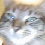 Profile picture of Donna