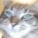 Profile picture of Donna