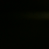 Profile picture of David