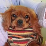 Profile picture of Chris
