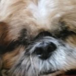Profile picture of Natascha Sharp