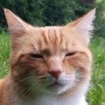 Profile picture of Molly