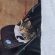 Profile picture of Felicity