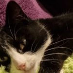 Profile picture of Nomes