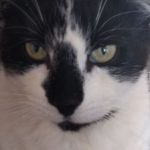 Profile picture of Katherine