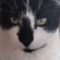 Profile picture of Katherine