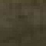 Profile picture of Sharon