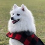 Profile picture of Nicola