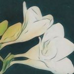 Profile picture of Cynthia Summerfield