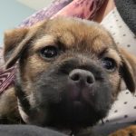Profile picture of Madeline Jelley