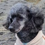 Profile picture of Jane
