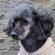 Profile picture of Jane