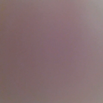 Profile picture of jilliane