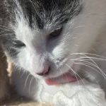 Profile picture of jolene dalton