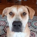 Profile picture of Nadia