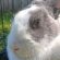 Profile picture of Michaela