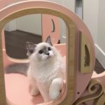 Profile picture of Natasha