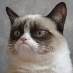 Profile picture of Kirsty